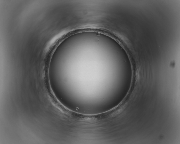 X0000116771406200912171522