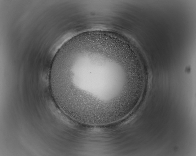X0000116771409200912171522
