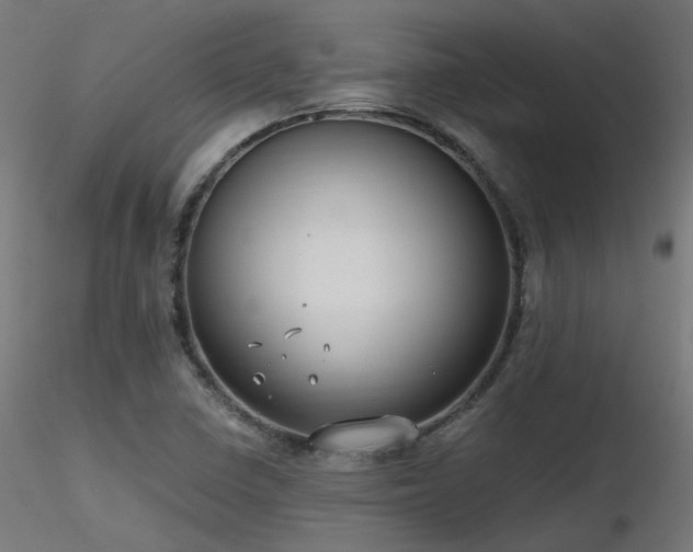 X0000116771410200912171522