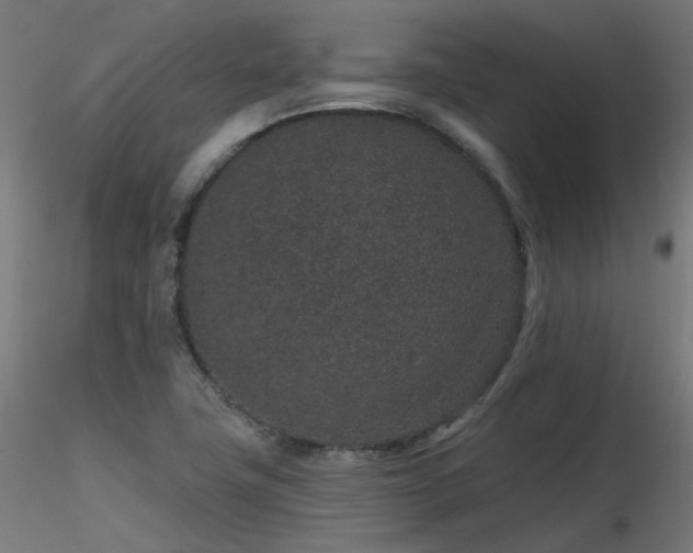X0000116771411200912171522