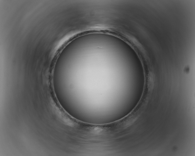 X0000116771412200912171522