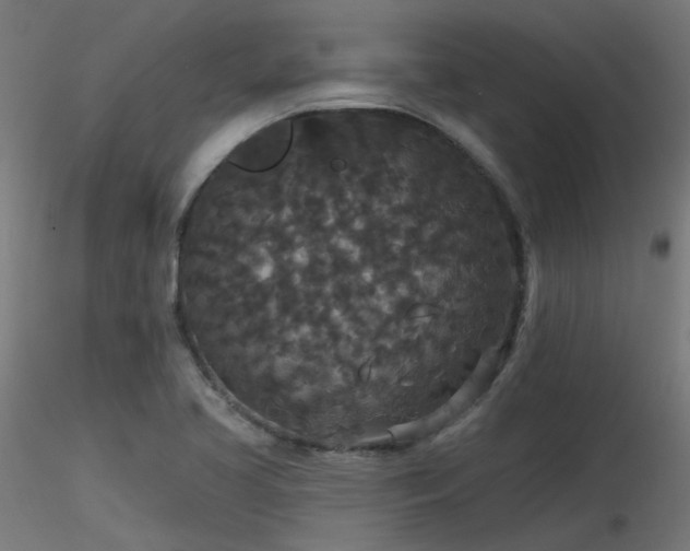 X0000116771413200912171522