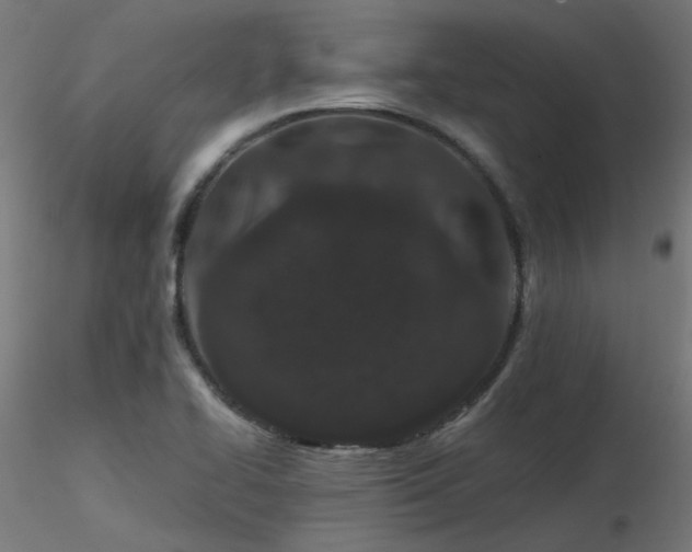 X0000116771414200912171522