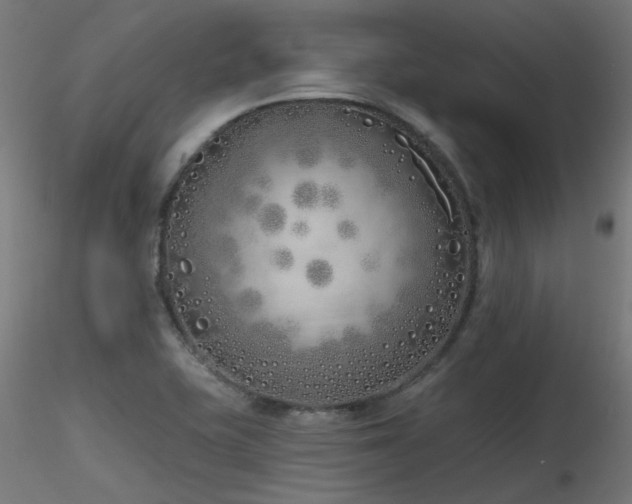 X0000116771415200912171522