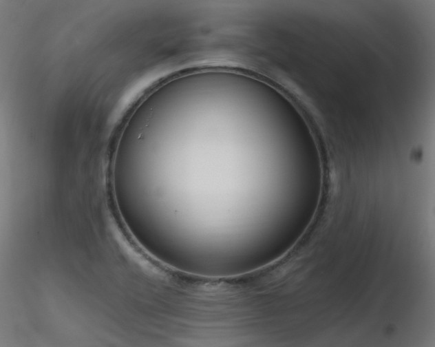 X0000116771416200912171522