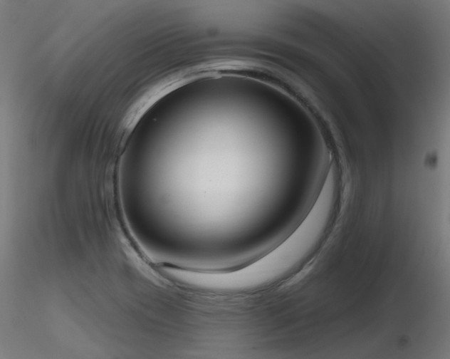 X0000116771417200912171522
