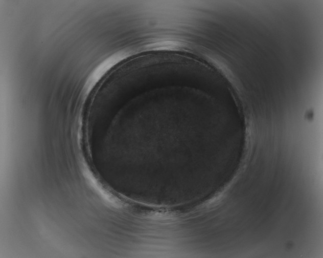 X0000116771418200912171522