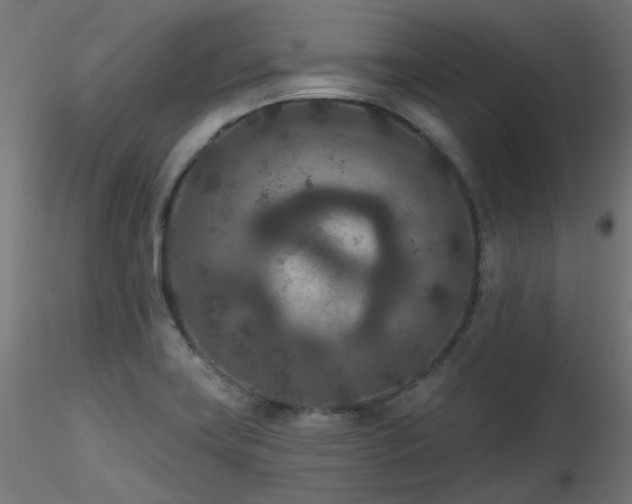 X0000116771419200912171522