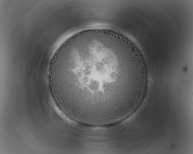 X0000116771421200912171523