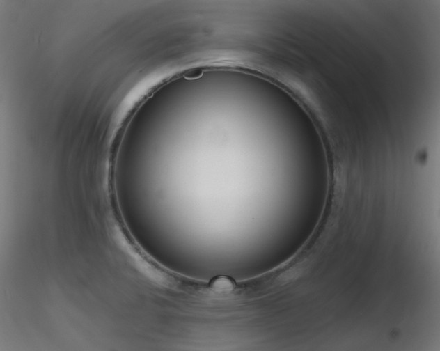X0000116771424200912171523