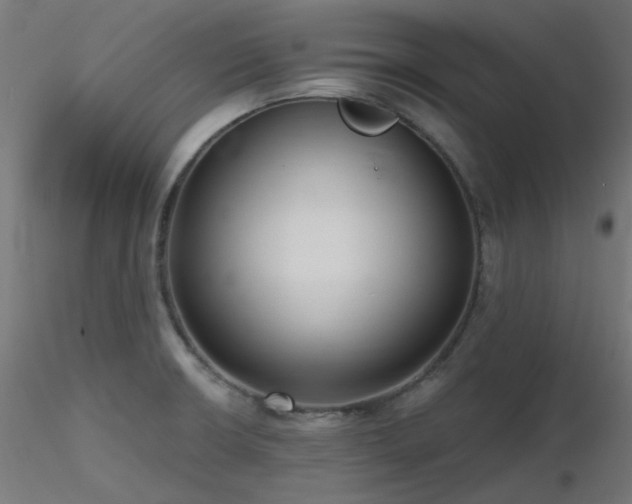 X0000116771426200912171523