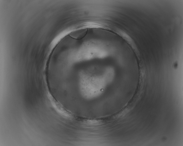 X0000116771427200912171523