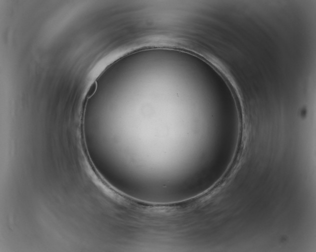 X0000116771437200912171523