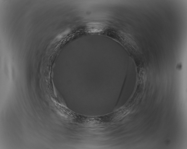 X0000116771441200912171522