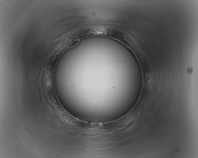 X0000116771442200912171522