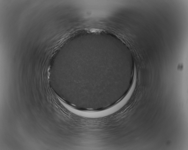 X0000116771443200912171522