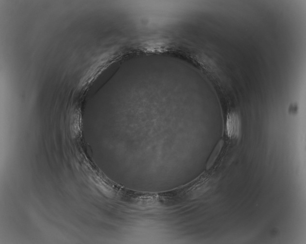 X0000116771444200912171522