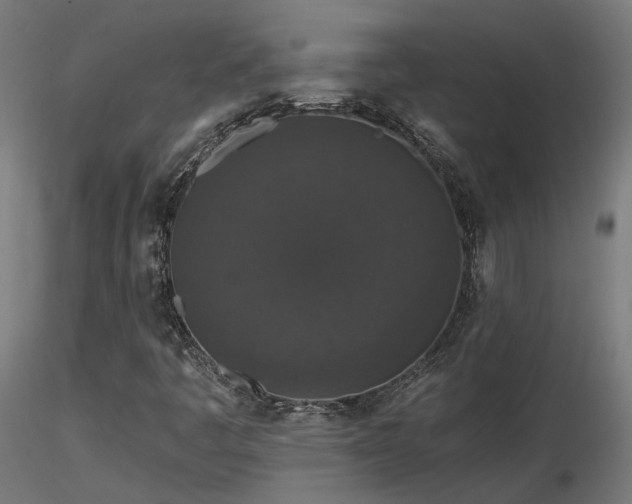X0000116771445200912171522