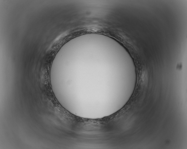 X0000116771446200912171522