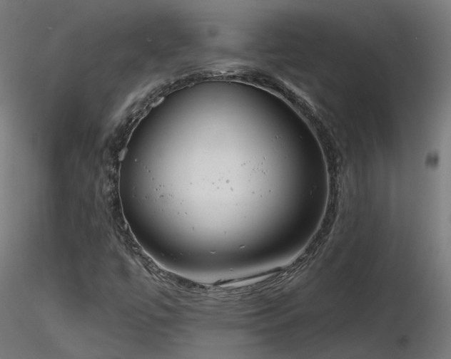 X0000116771447200912171522