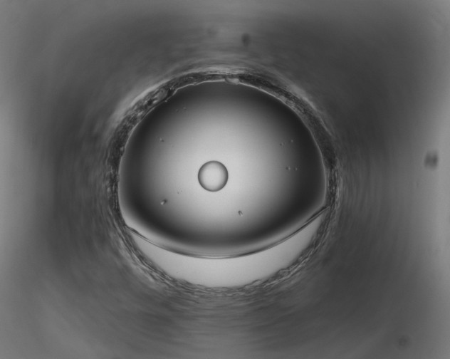 X0000116771448200912171522