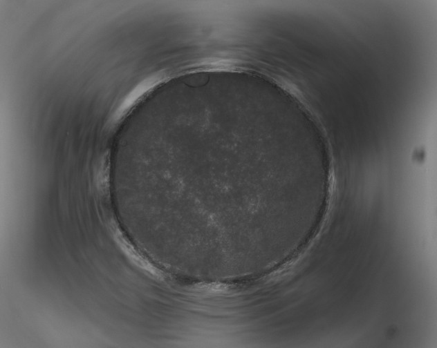 X0000116771450200912171522