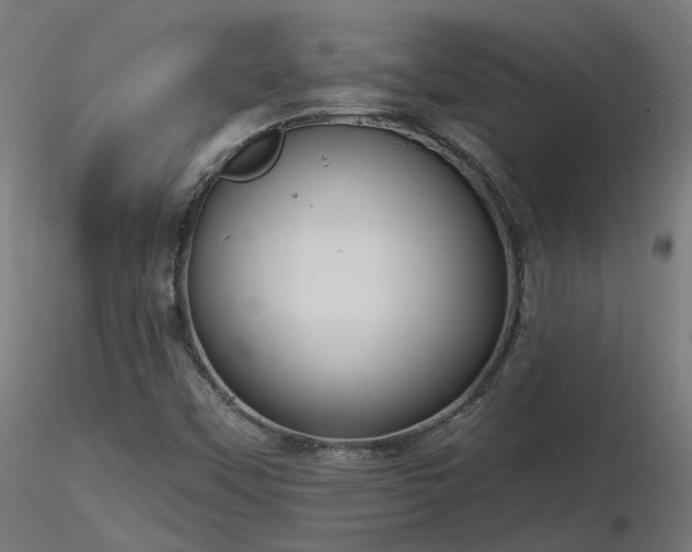 X0000116771451200912171522