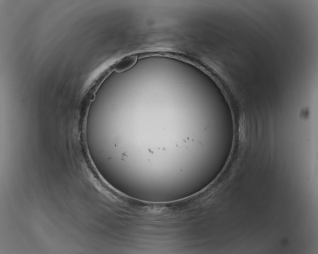 X0000116771452200912171522