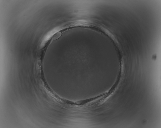 X0000116771453200912171522