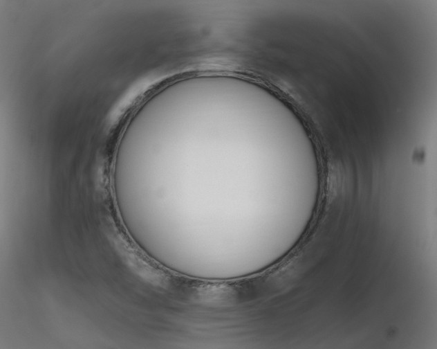 X0000116771454200912171522