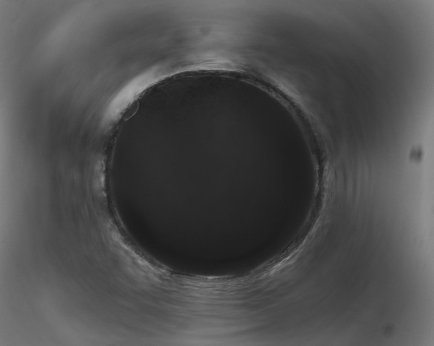 X0000116771455200912171522