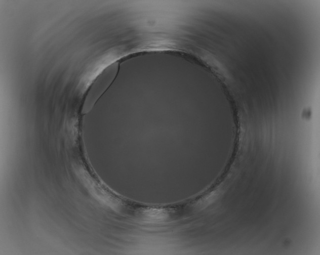 X0000116771457200912171522