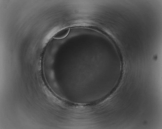 X0000116771459200912171522