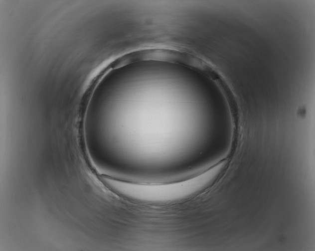 X0000116771460200912171522