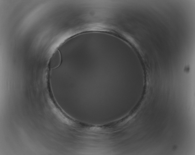 X0000116771463200912171522