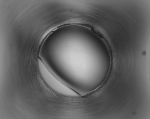 X0000116771465200912171522
