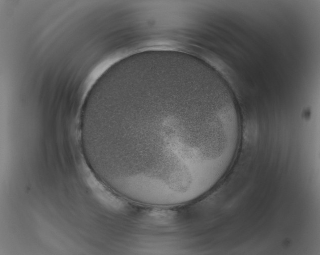 X0000116771466200912171522