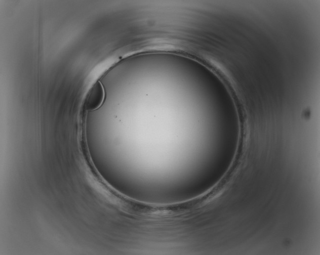 X0000116771467200912171522
