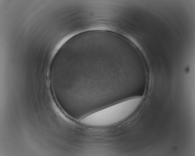 X0000116771468200912171522