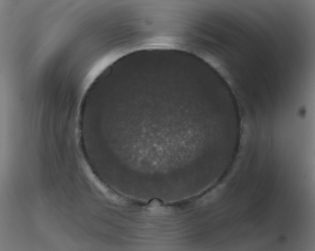 X0000116771469200912171522