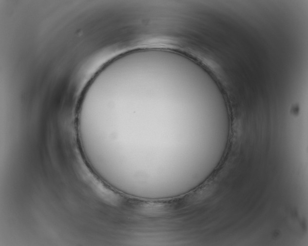 X0000116771470200912171522