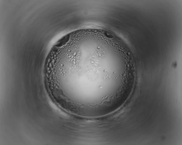X0000116771471200912171522