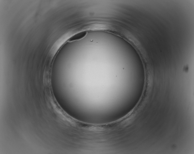 X0000116771473200912171522