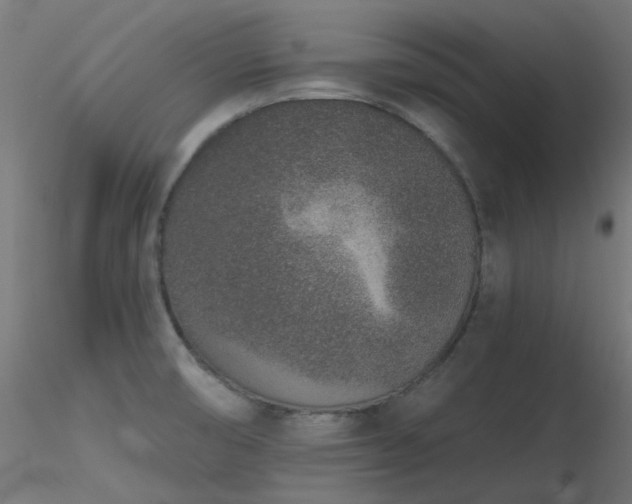 X0000116771474200912171521