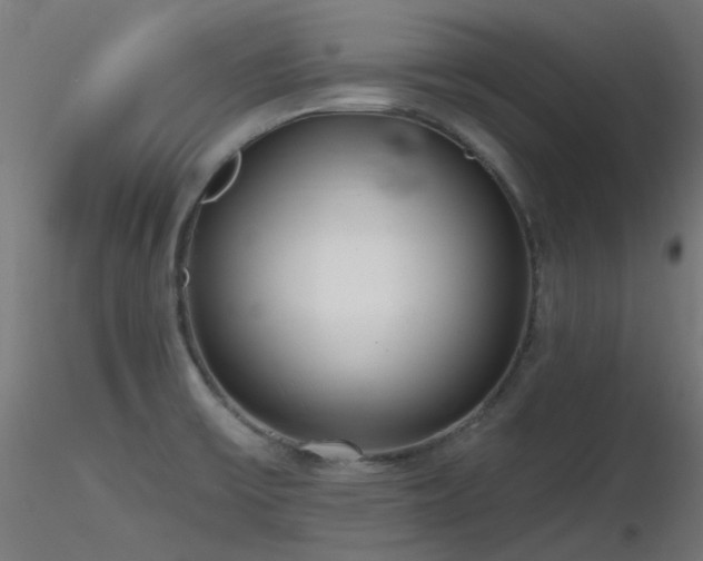 X0000116771475200912171521