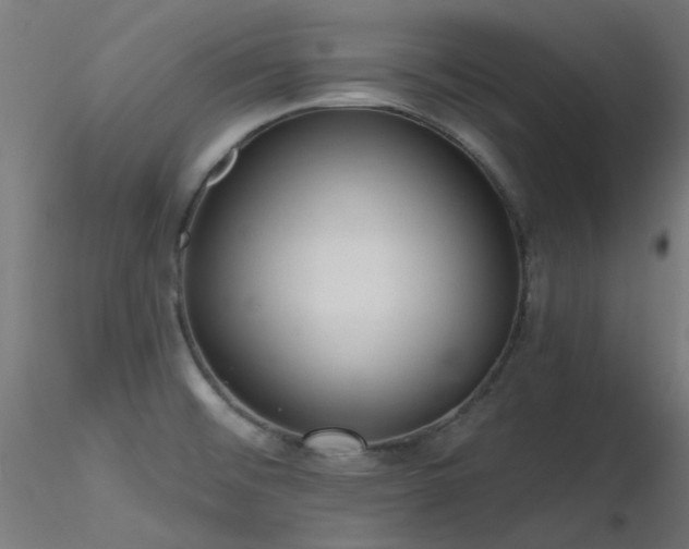 X0000116771476200912171521