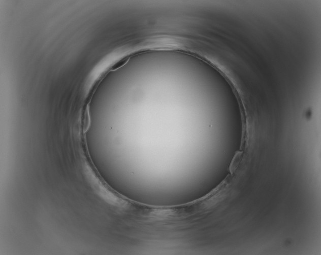 X0000116771477200912171521