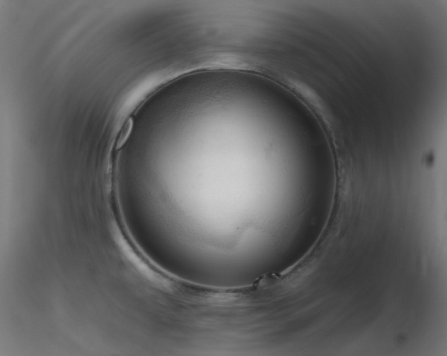 X0000116771479200912171521