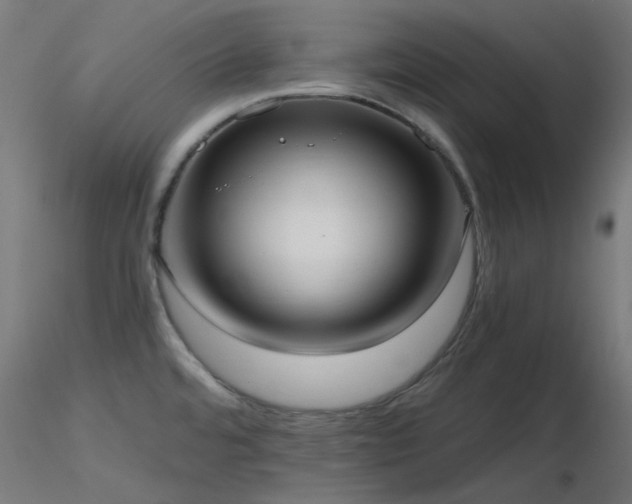 X0000116771480200912171521