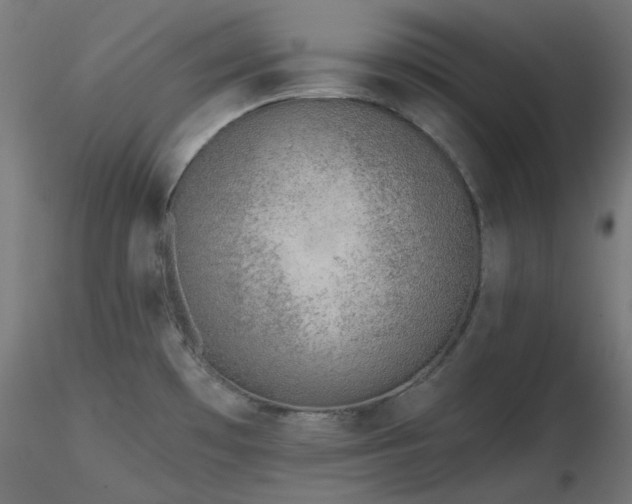 X0000116771481200912171521